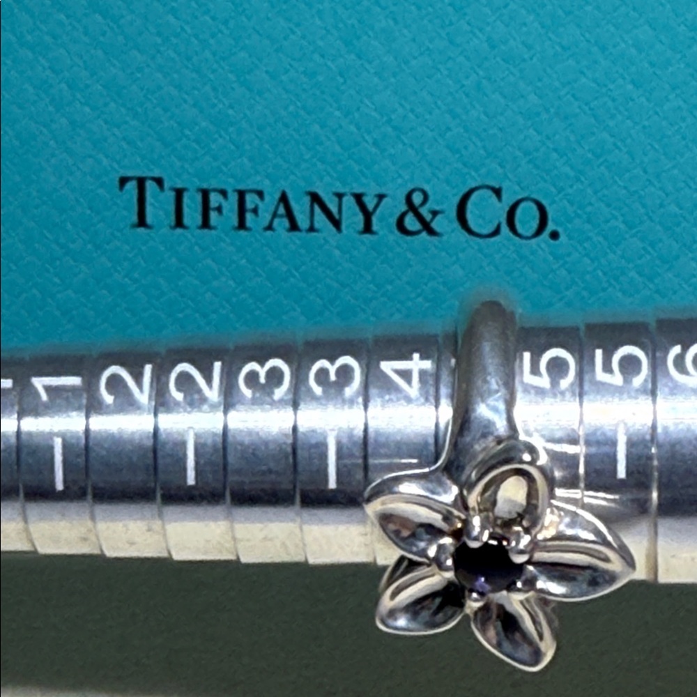 Tiffany & Co. Sterling Silver Iolite Daisy flower Iolite Ring - Picture 9 of 11